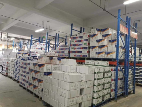 責(zé)任民企攜手政府服務(wù)，助力泰安抗疫與復(fù)工復(fù)產(chǎn)